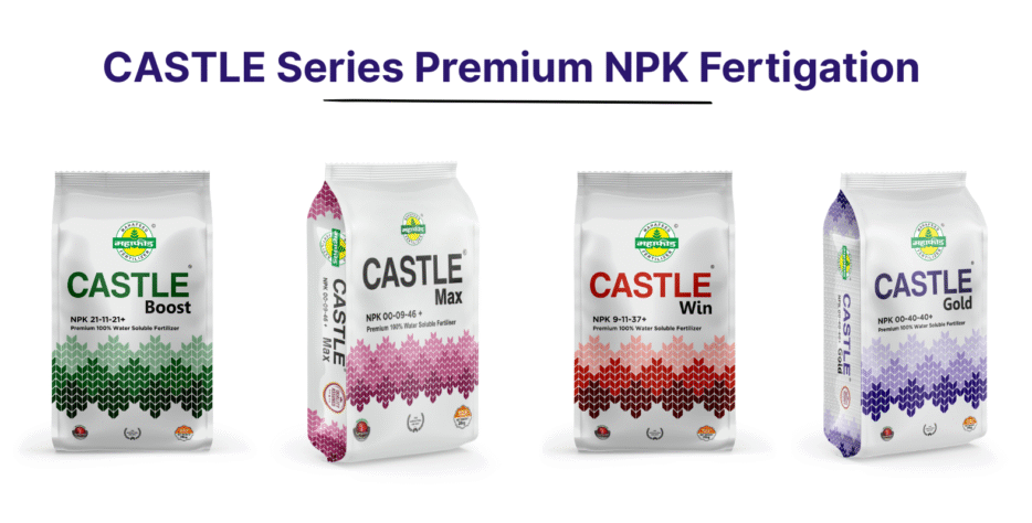 We grow fresh, organic produce using clean methods that protect nature, healthy food.