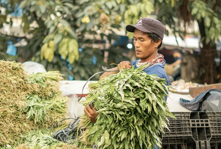 Our premium quality 100% Water-Soluble NPK Fertilizers are designed for fertigation, ensuring precise nutrient delivery, improved crop quality, and higher yields. These fertilizers dissolve completely in water, making them ideal for modern irrigation systems.