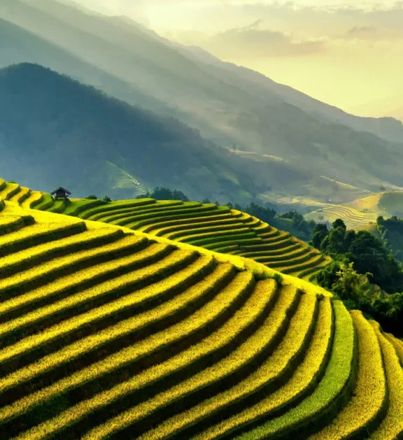 We grow fresh, organic produce using clean methods that protect nature, healthy food.