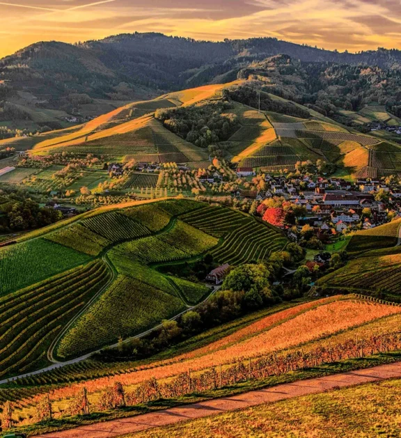 We grow fresh, organic produce using clean methods that protect nature, healthy food.