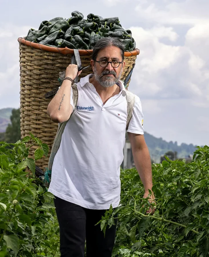 Organic farms avoid toxic inputs, improve soil health, grow clean, sustainable food that supports nature.