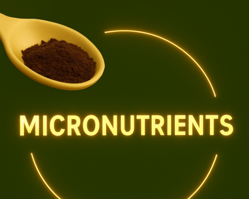 Micronutrient fertilizers