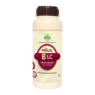 PROLIG B : 5% Boron Glycine